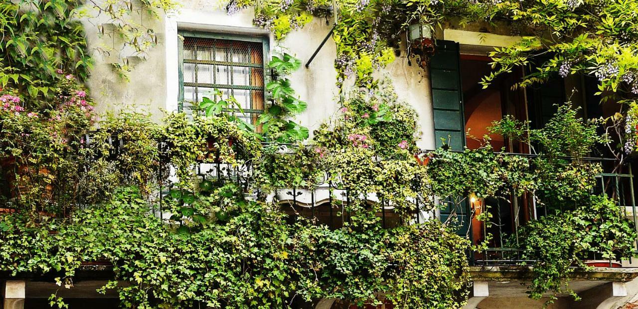 Venezia Ca' Dri Apartment Eksteriør bilde